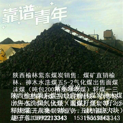 出售煤炭陜西榆林出售三八49塊煤13二五籽煤銷售神木五二氣化煤供應(yīng) 煙煤面煤38四九塊煤八一五中大塊煤出售