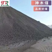 東莞神木煤煤炭銷精煤取暖煤烤煙煤工廠用煤神木氣化煤